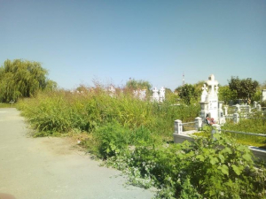 Cimitirul ”Sfântul Lazăr”, plin de bălării