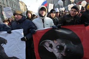 Aproximativ 20.000 de ruşi protestează faţă de legea împotriva adopţiilor