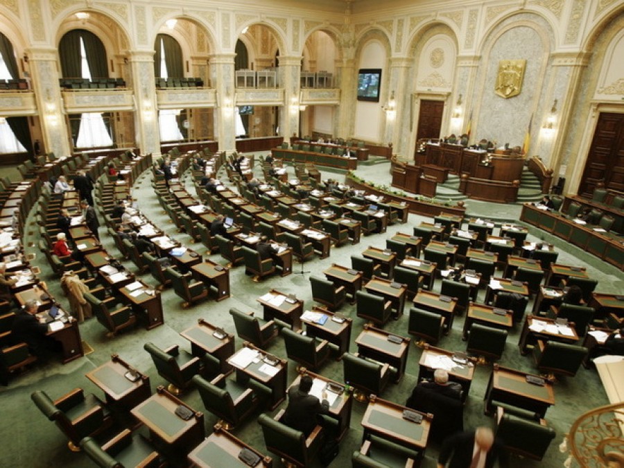 Opoziţia preia majoritatea la Senat după trecerea Mihaelei Popa la PNL