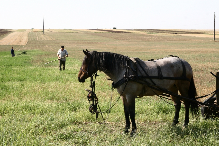 Agricultura, în stradă?