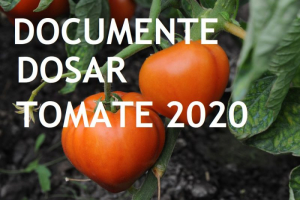 Cereri de minimis în Programul Tomate 2020