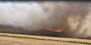 Ravagii în culturile din județ din cauza vremii extreme! Trăsnetele au ars sute de hectare (FOTO ȘI VIDEO)