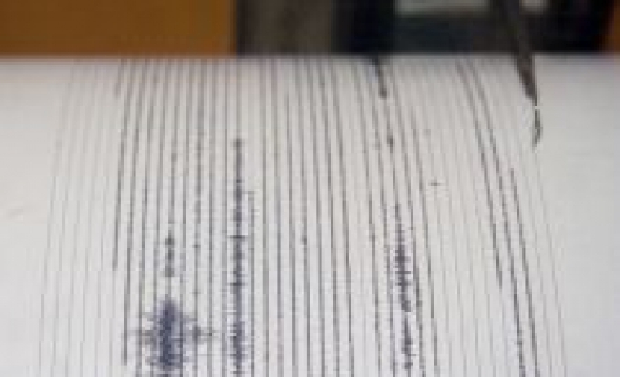 Cutremur cu magnitudinea de 4,2 grade pe scara Richter produs în Marea Neagră, simţit în Dobrogea