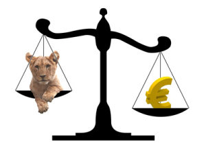 Euro ar putea crește peste un an la 5,07 lei