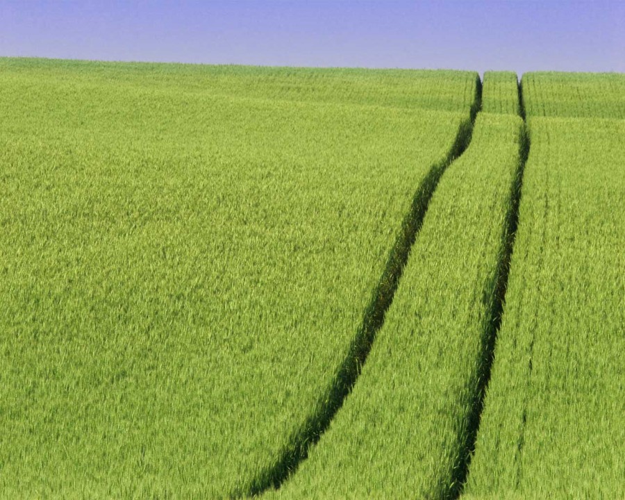Agricultură fărâmiţată. Unde-i unul, nu-i putere