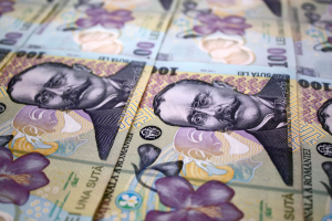 Evoluție pozitivă a leului la jumătatea săptămânii