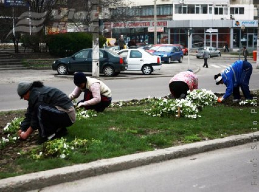 ADP, în campanie florală