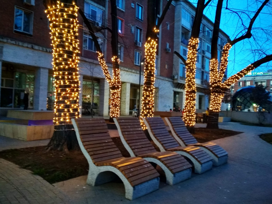 Poza zilei. Crăciun „estival” în februarie