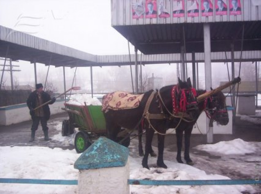 Ce decizie va lua Hrebenciuc de Bereşti?