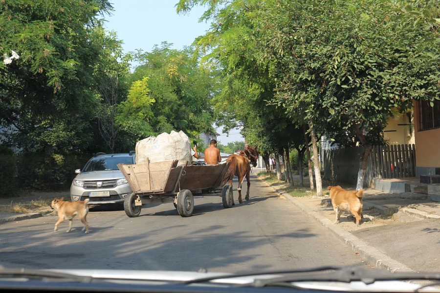 REPORTAJ în cartierul contrastelor izbitoare: Modernizările nu alungă caii şi căruţele (FOTO)