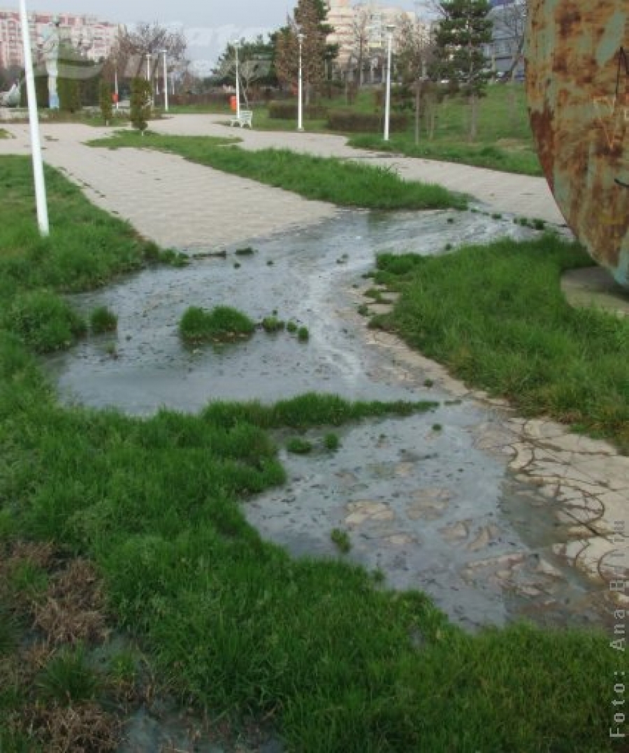 Mlaştina din parcul Cloşca