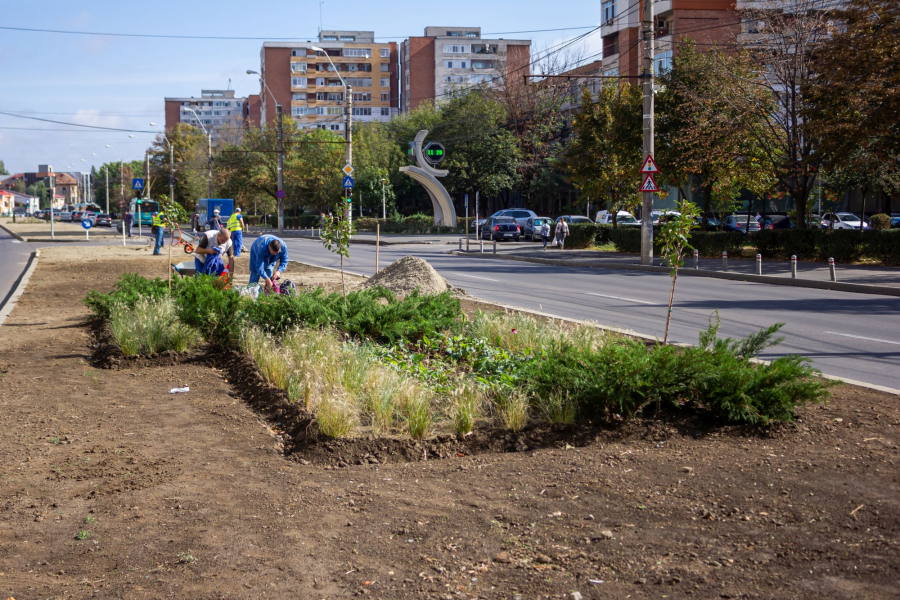 Noi insule ornamentale pe scuarul central al străzii Brăilei