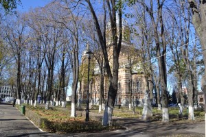 Schimbări în Parcul Central / Primăria Tecuci a cumpărat construcţiile ridicate de Vasile Dănăilă Pazvante