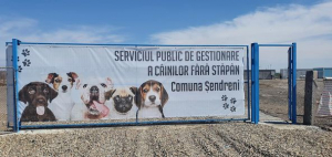 Serviciu pentru gestionarea câinilor fără stăpân, la Șendreni
