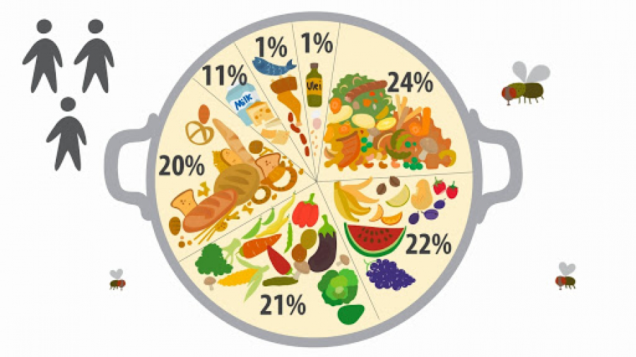 Stop risipei alimentare!