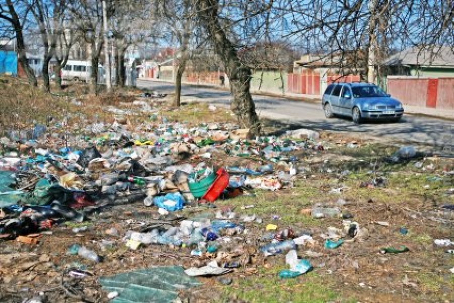 Gunoi de primăvară