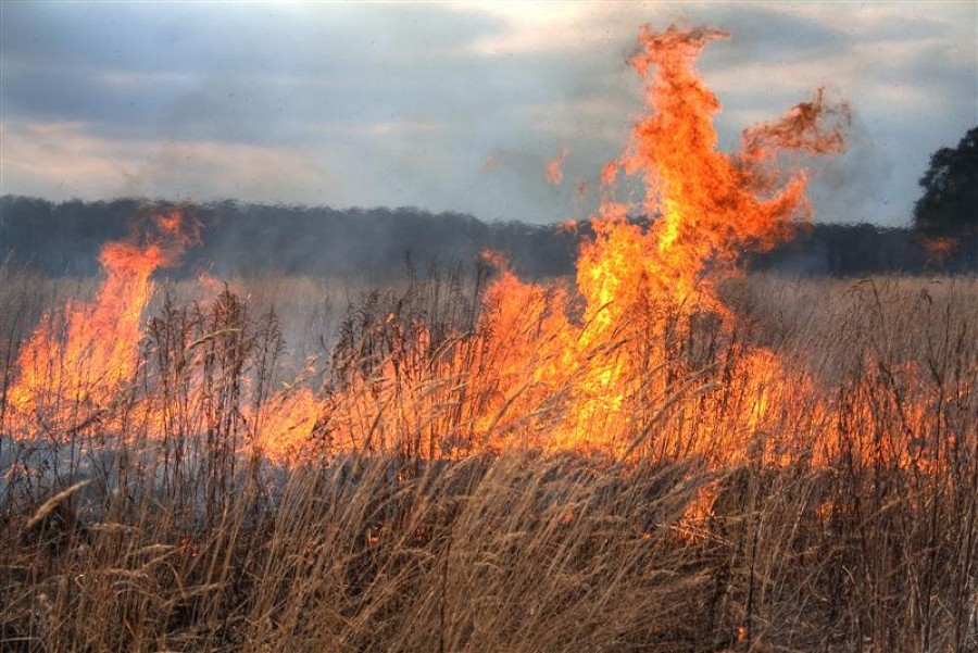 Şase incendii în acest sfârşit de săptămână