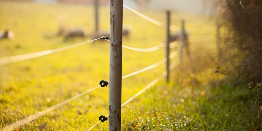 Garduri electrice pentru locuinţele din zone cu animale sălbatice