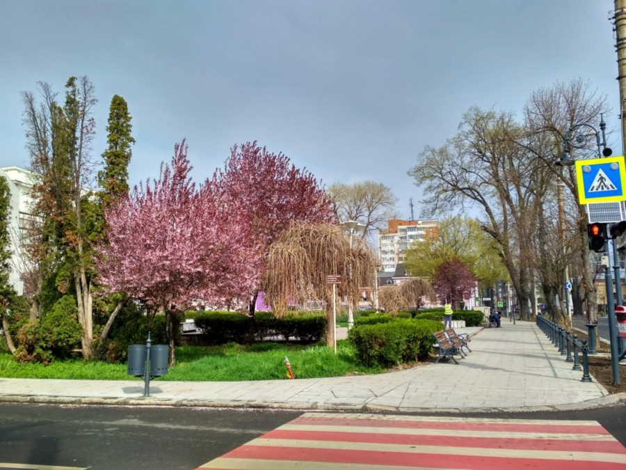 Intersecţie centrală, închisă pentru câteva ore