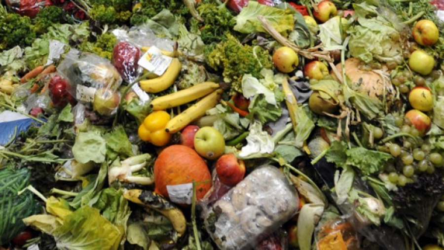 România pierde două tone de alimente. Anual