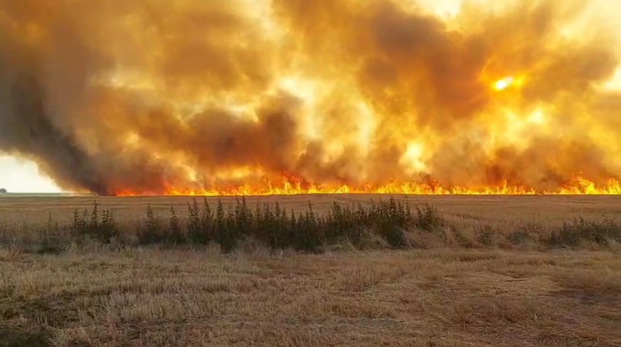 Galațiul - pârjolit din neglijență și nepăsare. 322 de incendii de vegetație, în nouă luni