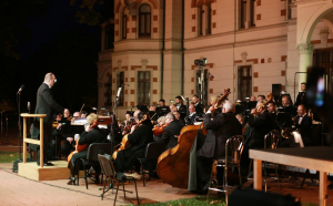 Concert în aer liber