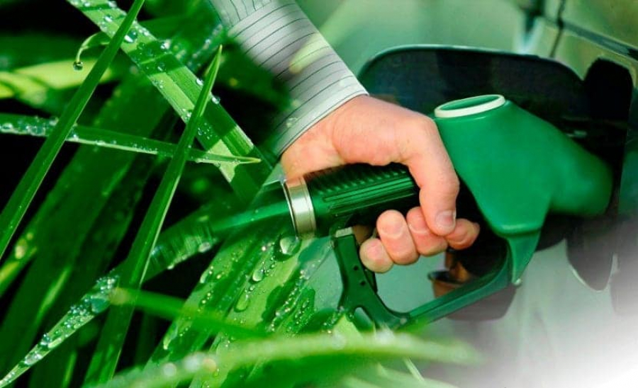 România primește fonduri pentru producția de biocombustibil