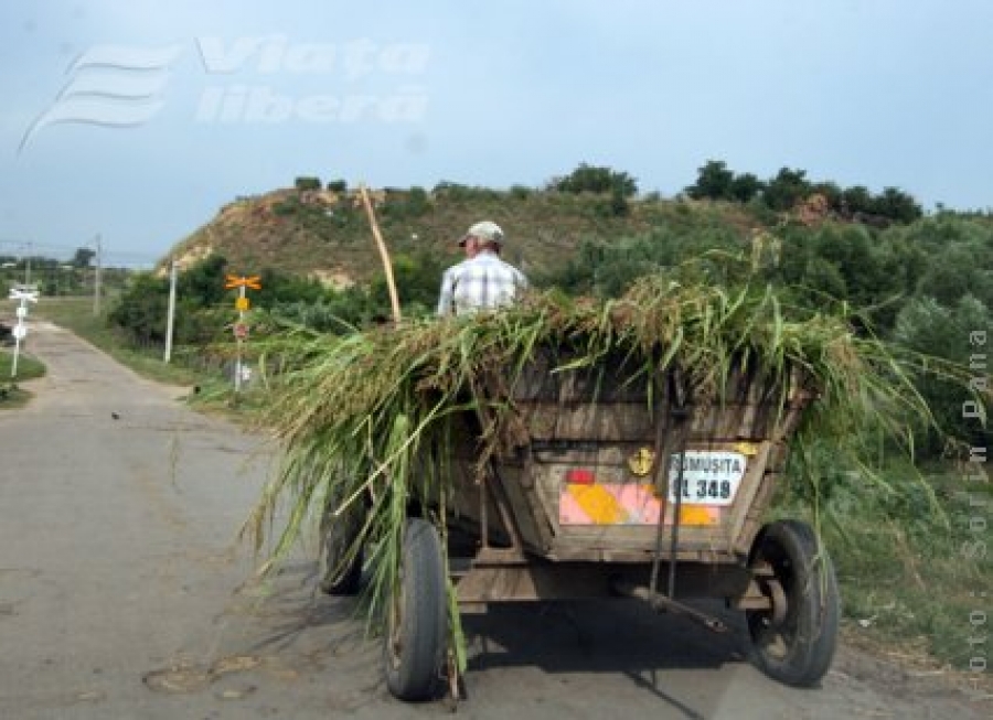Frumuşiţa cere 3 milioane de euro pentru canalizare, curent şi iluminat public