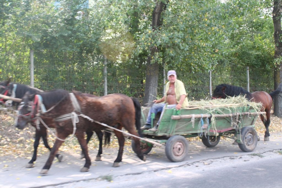 CE NU VĂ PLACE ÎN ORAŞUL GALAŢI? Căruţele de pe drumurile publice încurcă traficul