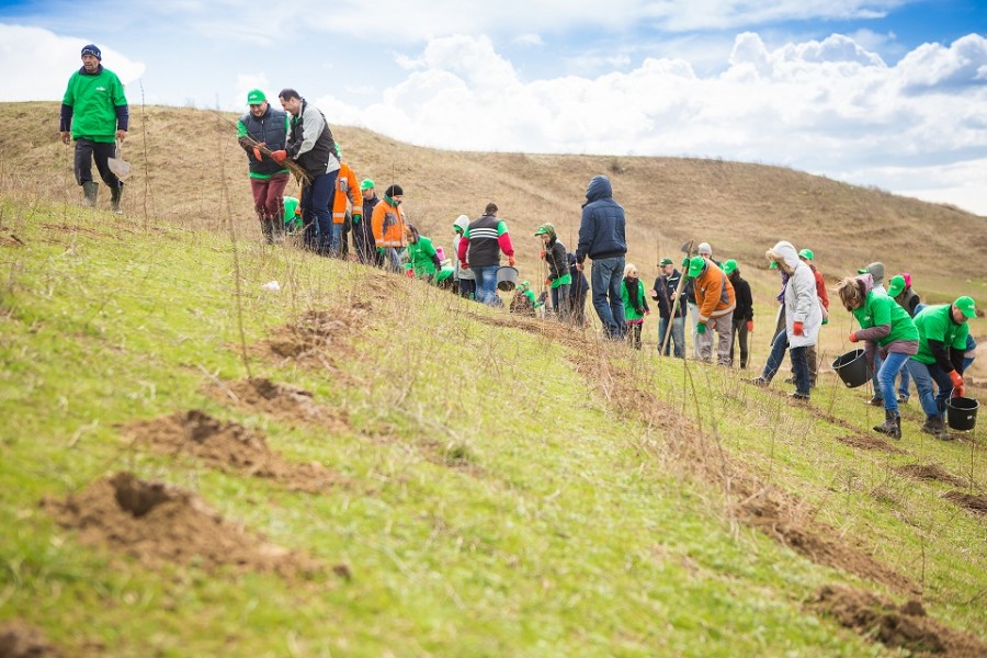 Avem o nouă pădurice! Ziua Planetei Pământ, sărbătorită şi la Galaţi