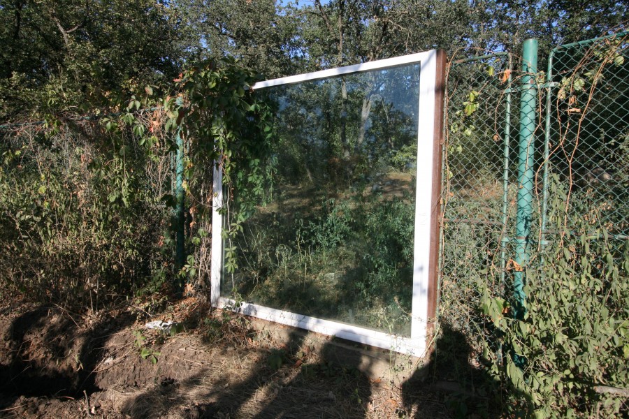 Extindere de habitat la Grădina Zoologică: Uite lupul, nu e lupul!