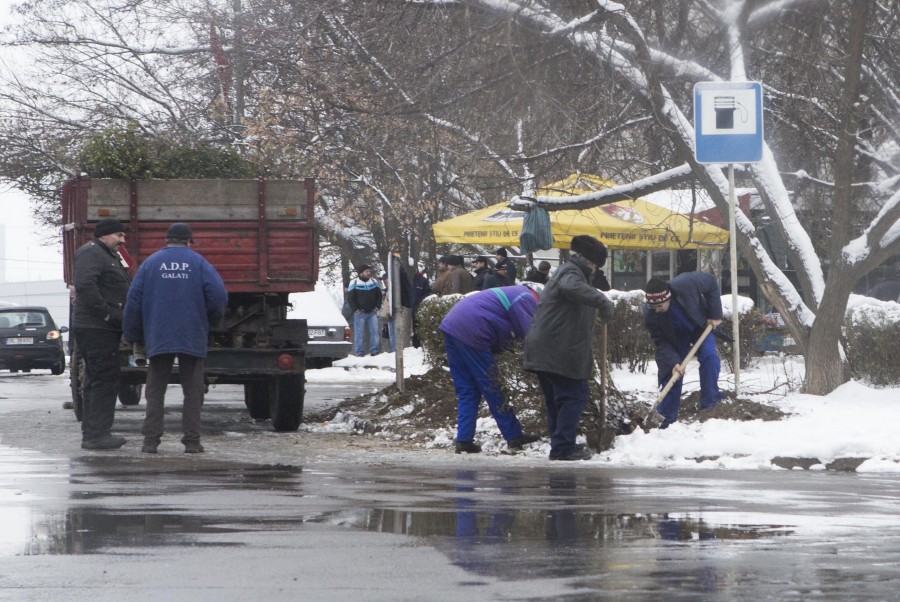 CETĂŢENII SESIZEAZĂ: De ce PRIMĂRIA scoate GARDUL VIU din Micro 13 (FOTO)