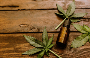 Se analizează legalizarea canabisului medicinal