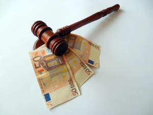 BREVIAR JURIDIC/ Procedura ordonanţei de plată (III)
