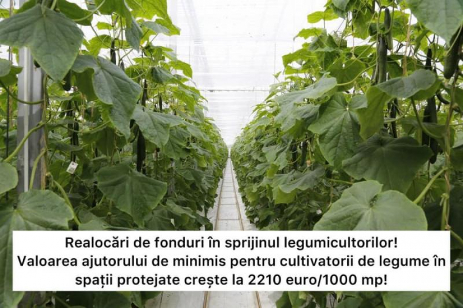 Majorare a sprijinului pentru legume în spații protejate