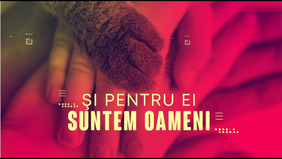 Cât de cruzi putem fi cu necuvântătoarele