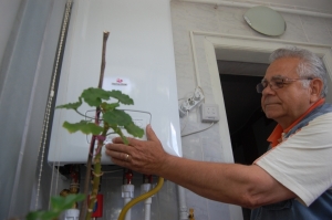 Cum poţi beneficia de ajutor financiar pentru a te încălzi la iarnă | Primăria a făcut publice criteriile