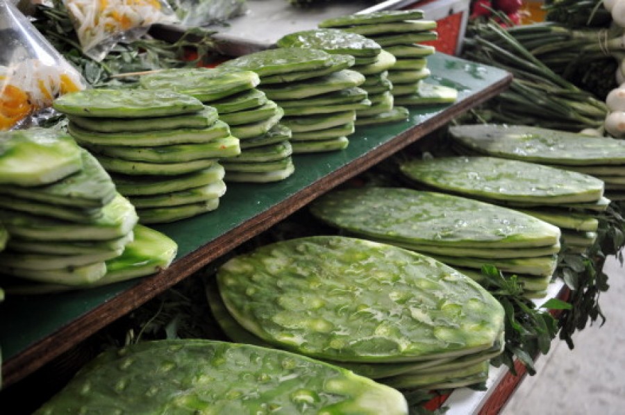 CACTUSUL COMESTIBIL - o adevărată tentaţie culinară