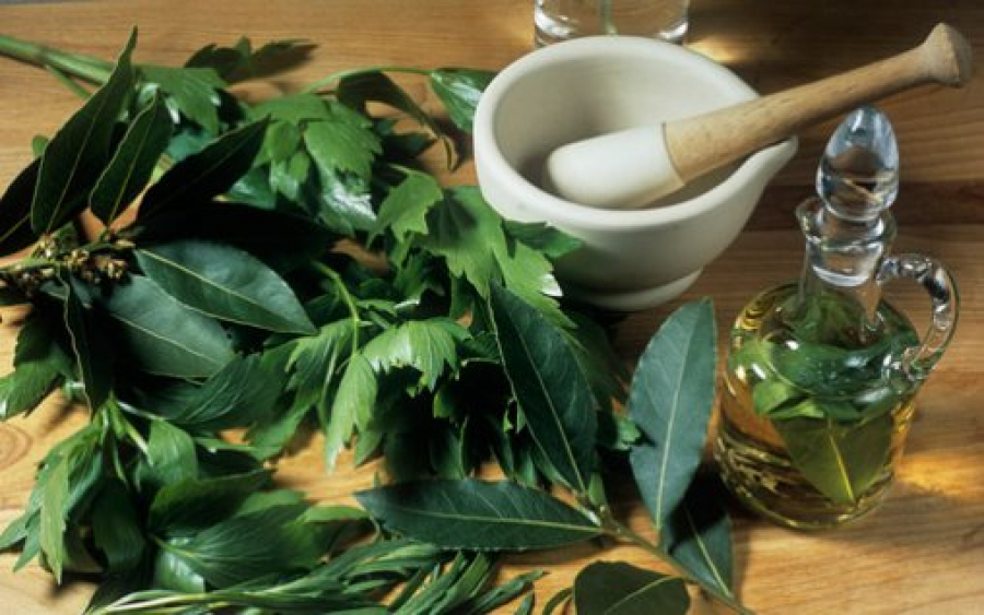 Patru plante aromatice, sursă de beneficii pentru sănătate