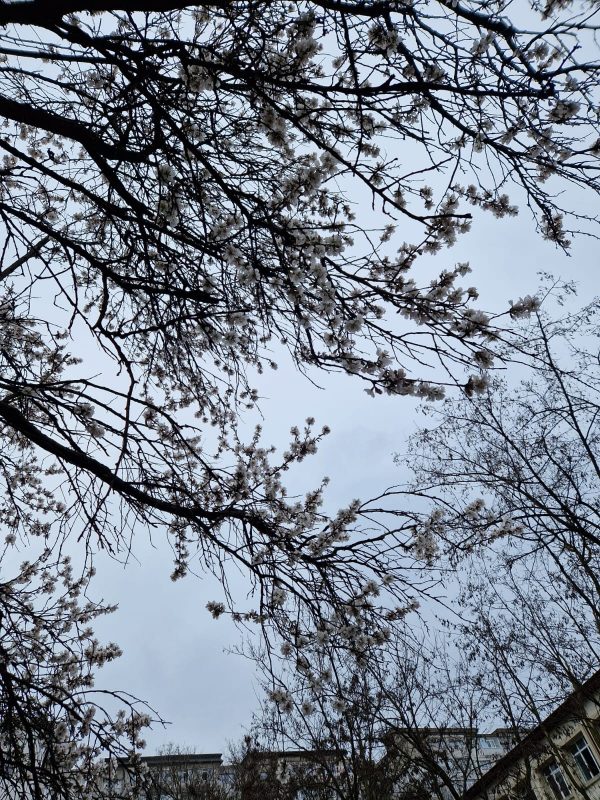 Cum va fi vremea la Galaţi în acest weekend