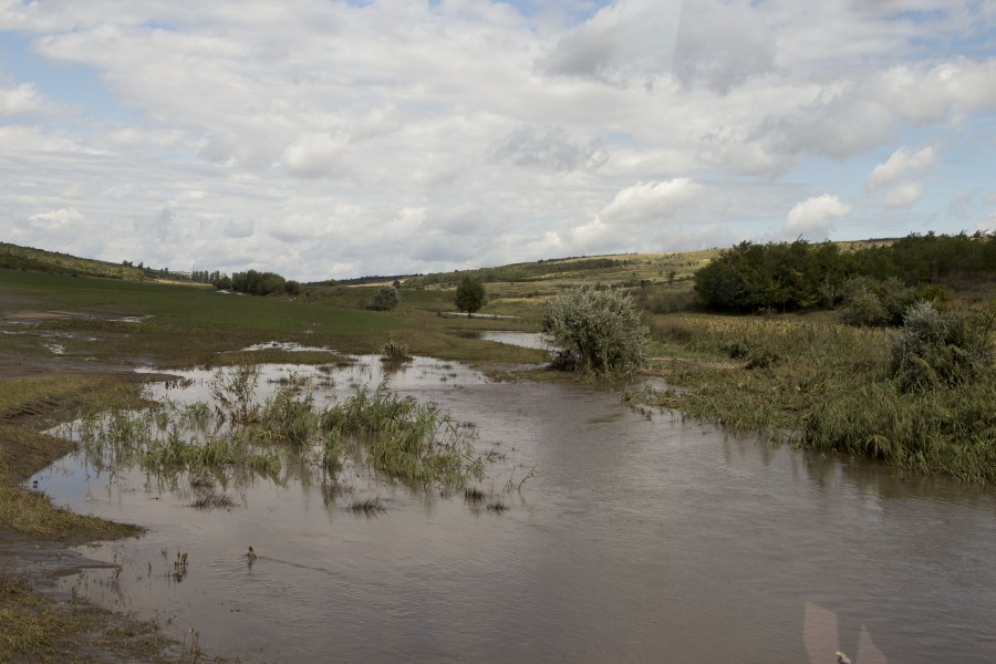 Soluţie extremă: Autorităţile au decis să spargă un dig pentru evacuarea apei