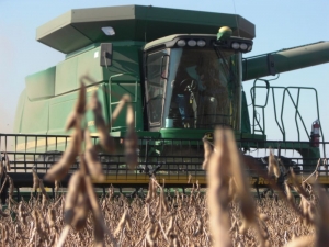 În România s-ar putea cultiva, iarăşi, PLANTE MODIFICATE GENETIC