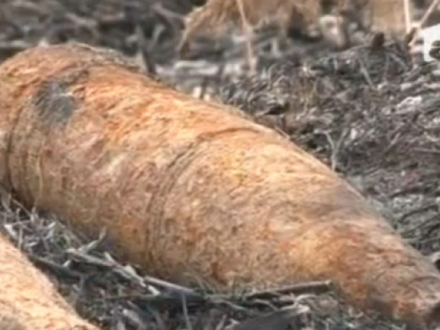 Proiectil explozibil găsit într-o curte din Lieşti