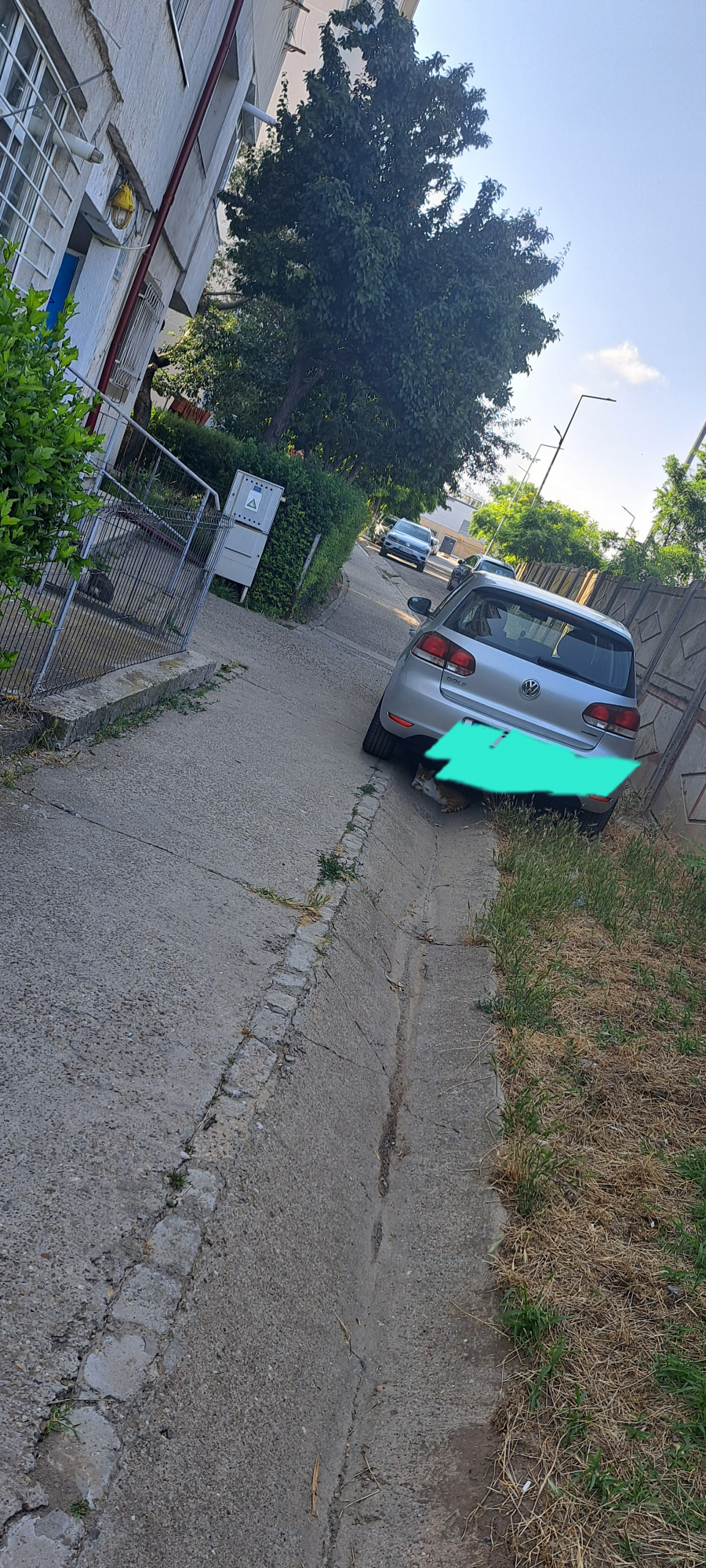 Poza zilei. Parcarea în spaţiile comune, reguli şi nereguli
