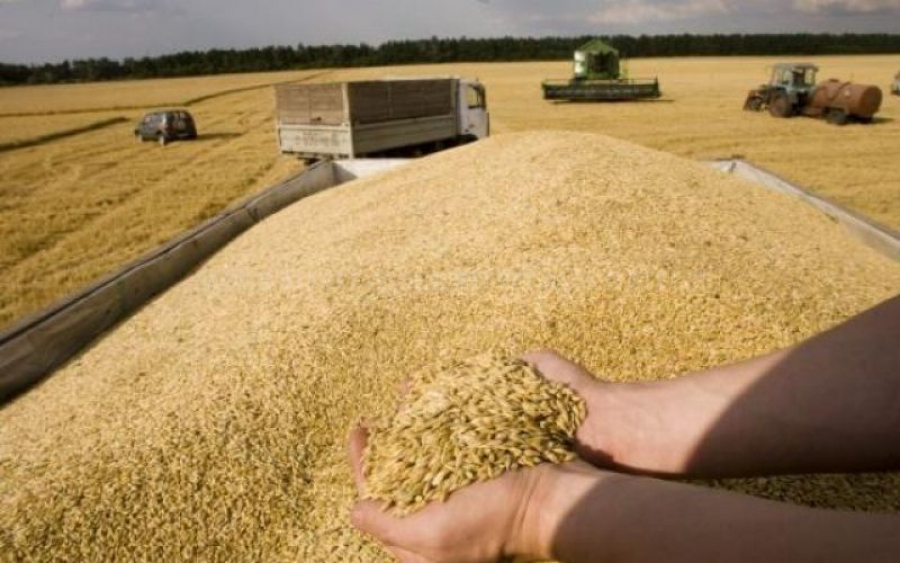 Rusia, exporturi de cereale doar pentru „prieteni”