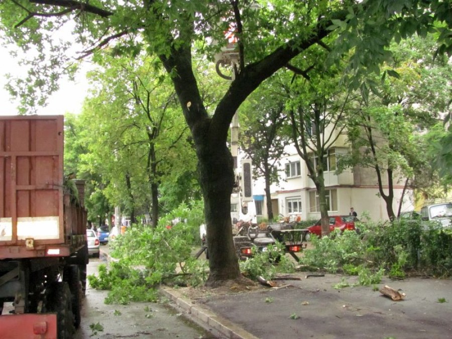 La un pas de tragedie! Gălăţeancă lovită în cap de o creangă