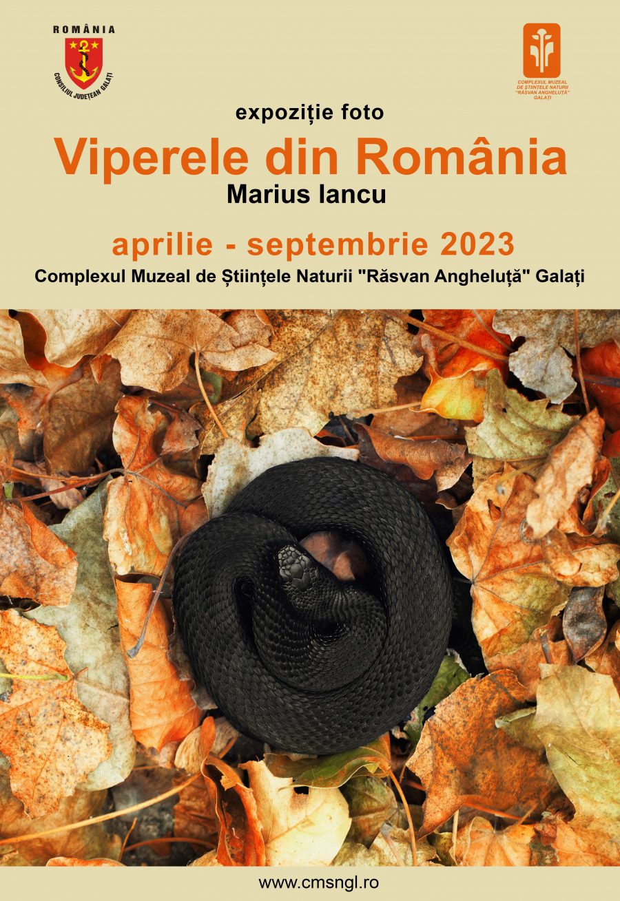 Expoziţie cu viperele din România