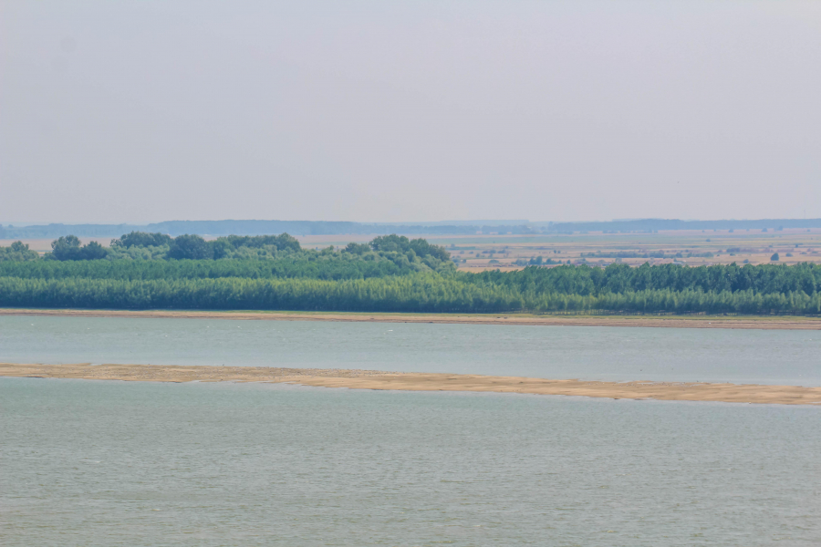 Insula a ieşit din nou din apele Dunării