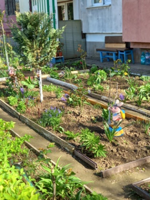 Poza zilei. O oază &icirc;ntre blocuri