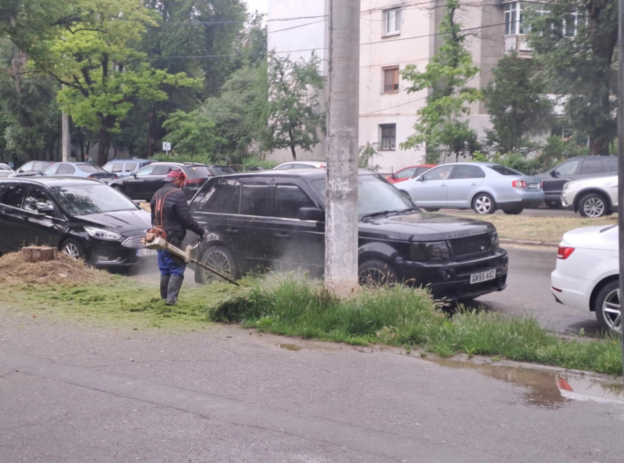 Poza zilei. Drujbuliţa de la capătul Fileştiului